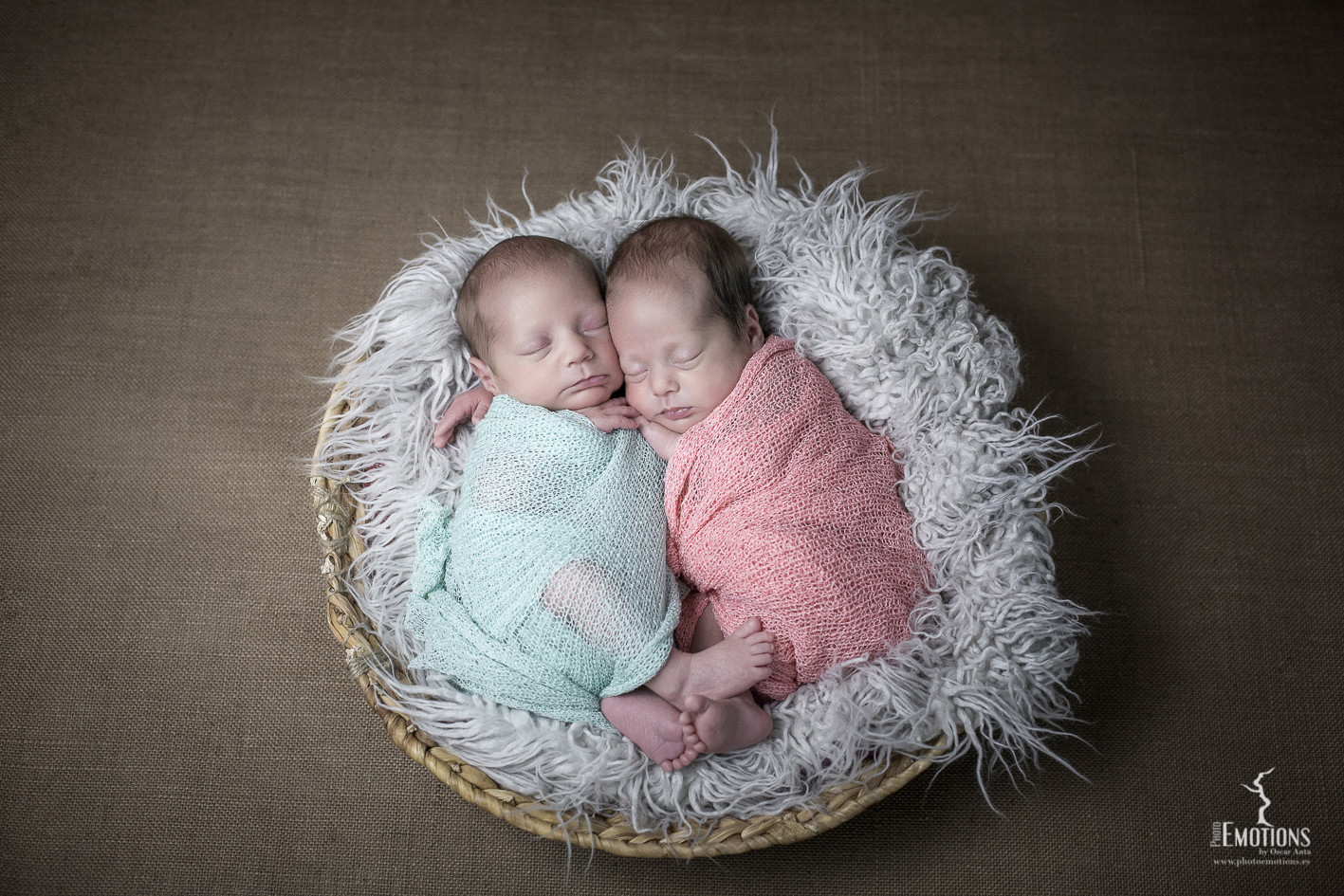 fotos newborn gemelos 5