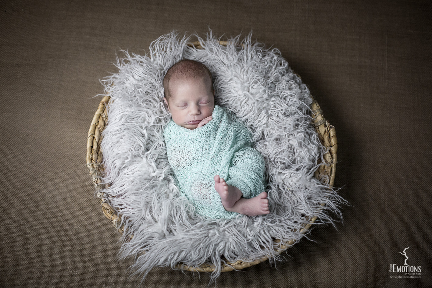 fotos newborn gemelos 7