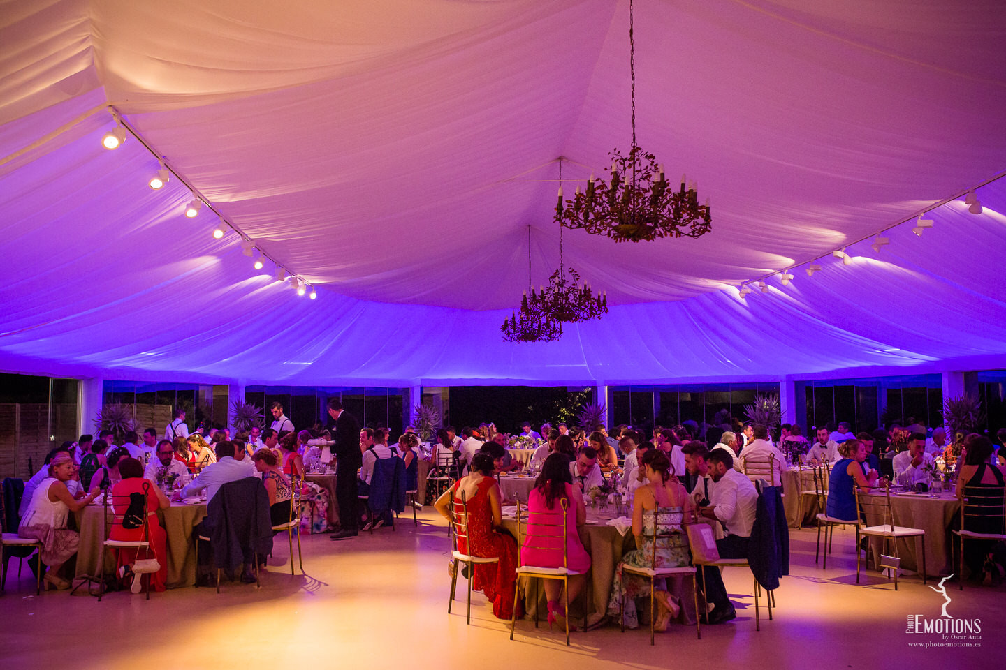 fotografo_boda_valladolid_finca _la_leyenda_fuente_los_angeles19